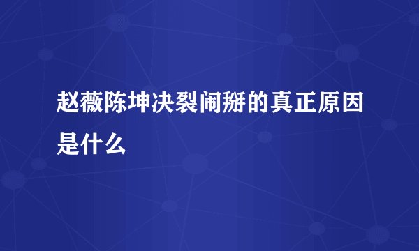 赵薇陈坤决裂闹掰的真正原因是什么