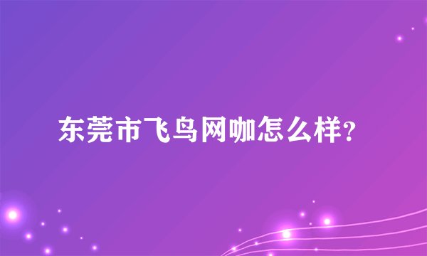 东莞市飞鸟网咖怎么样？