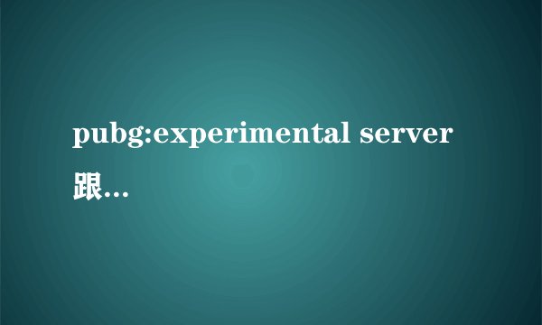 pubg:experimental server跟Test server要不要下载的