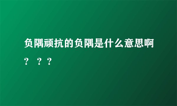 负隅顽抗的负隅是什么意思啊？ ？？