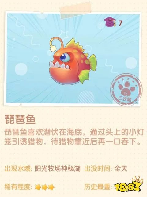 琵琶鱼