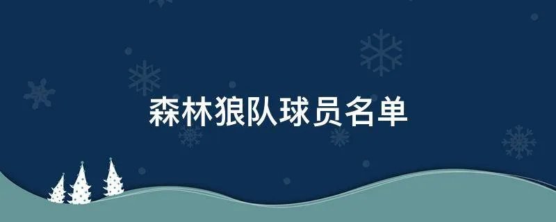 森林狼队球员名单