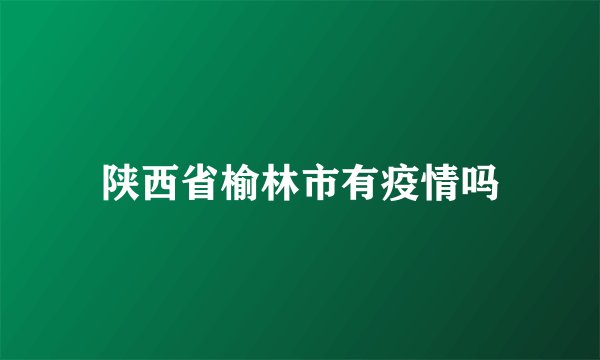 陕西省榆林市有疫情吗