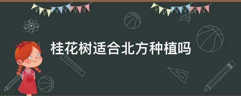 桂花树适合北方种植吗