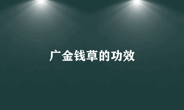 广金钱草的功效