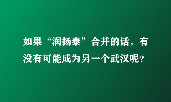 如果“润扬泰”合并的话,有没有可能成为另一个武汉呢?
