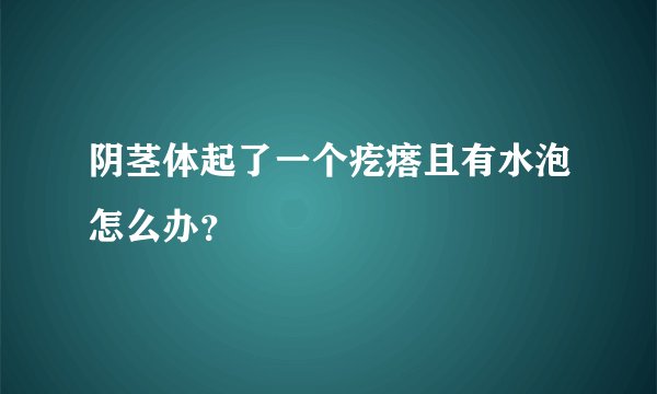 阴茎体起了一个疙瘩且有水泡怎么办？