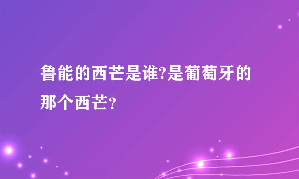 鲁能的西芒是谁?是葡萄牙的那个西芒？