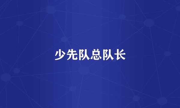 少先队总队长