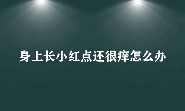 身上长小红点还很痒怎么办