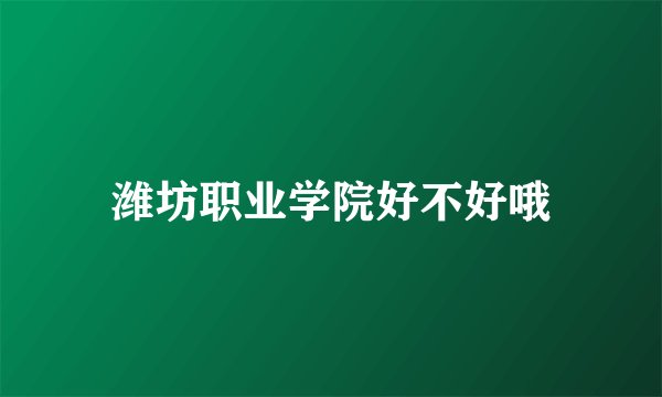 潍坊职业学院好不好哦