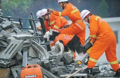 新疆于田6.4级地震,造成地震的原因是什么?
