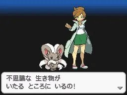 口袋妖怪白2图文攻略(要白2的!)