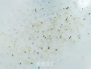 糖桂花