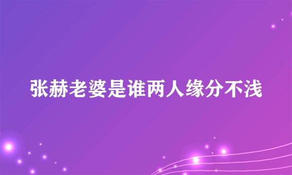 张赫老婆是谁两人缘分不浅