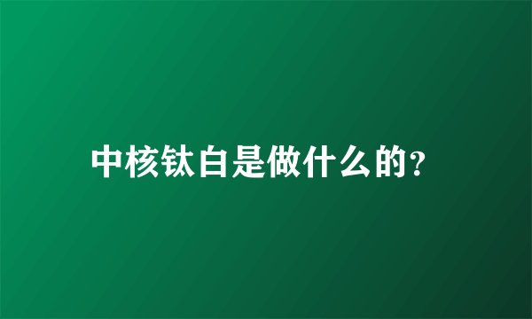 中核钛白是做什么的?