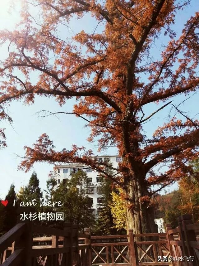 湖北恩施哪里的房产最好最有潜力?