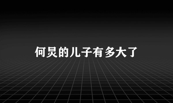 何炅的儿子有多大了