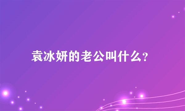 袁冰妍的老公叫什么？
