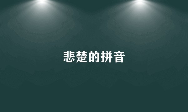 悲楚的拼音