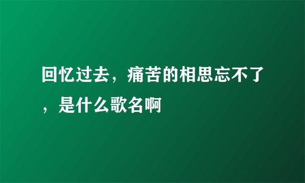 回忆过去，痛苦的相思忘不了，是什么歌名啊