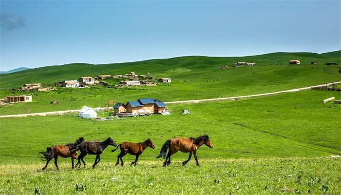 中国陆地面积最大的省是哪个 中国陆地面积最大的省