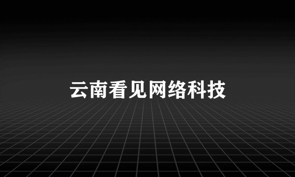 云南看见网络科技