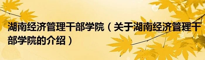 湖南经济管理干部学院（关于湖南经济管理干部学院的介绍）