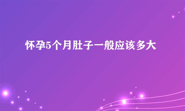 怀孕5个月肚子一般应该多大