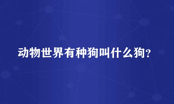 动物世界有种狗叫什么狗？