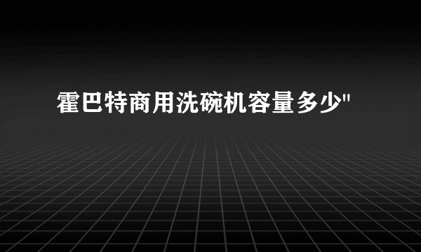 霍巴特商用洗碗机容量多少