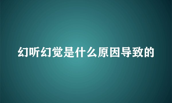 幻听幻觉是什么原因导致的