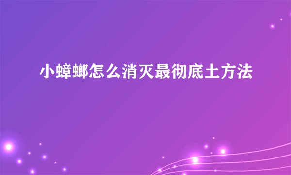 小蟑螂怎么消灭最彻底土方法