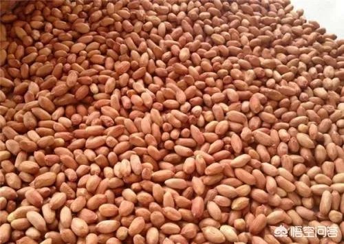 近期花生米价格出现了大涨的行情,这是什么原因造成的?