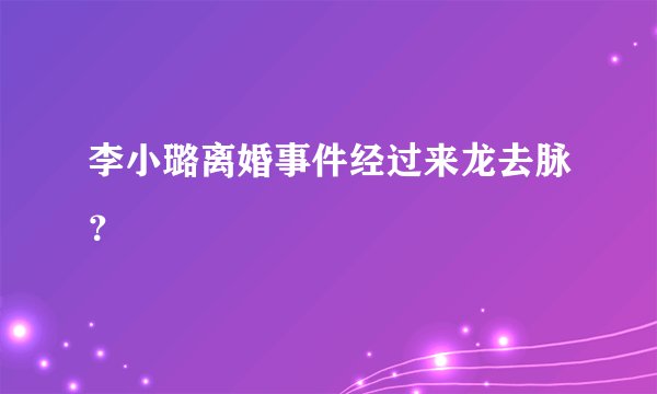 李小璐离婚事件经过来龙去脉？
