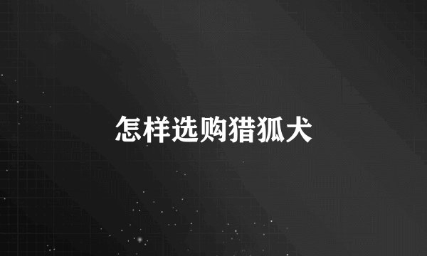 怎样选购猎狐犬