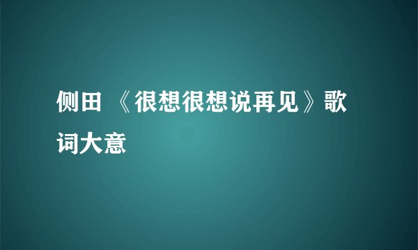 侧田 《很想很想说再见》歌词大意