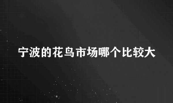 宁波的花鸟市场哪个比较大