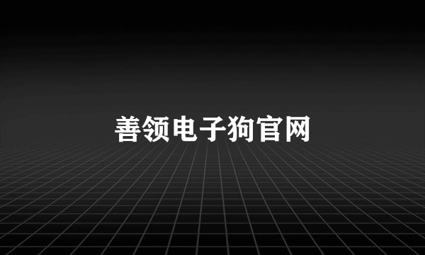善领电子狗官网
