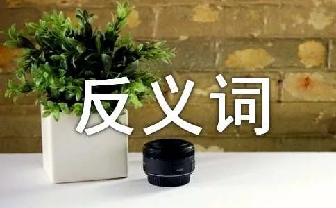 恐惧的反义词