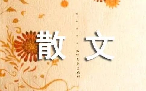 一个人的街散文
