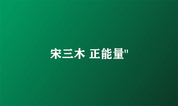宋三木 正能量