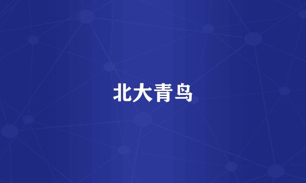 北大青鸟
