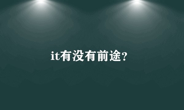 it有没有前途？