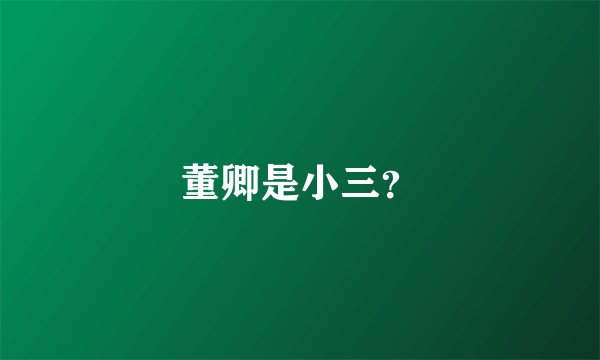 董卿是小三？