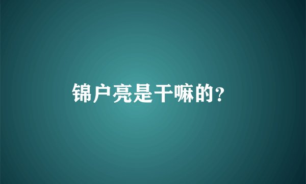锦户亮是干嘛的？