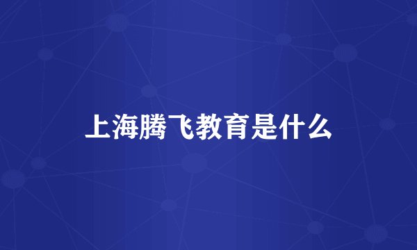 上海腾飞教育是什么