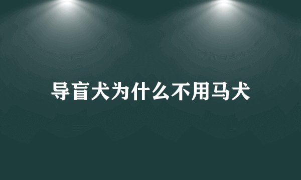 导盲犬为什么不用马犬