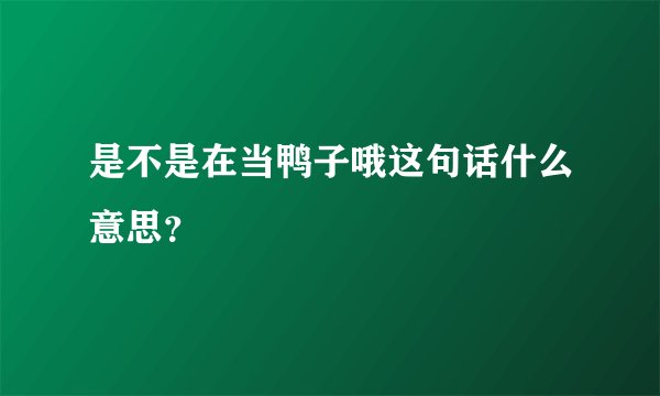 是不是在当鸭子哦这句话什么意思？