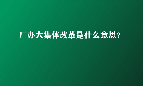 厂办大集体改革是什么意思？